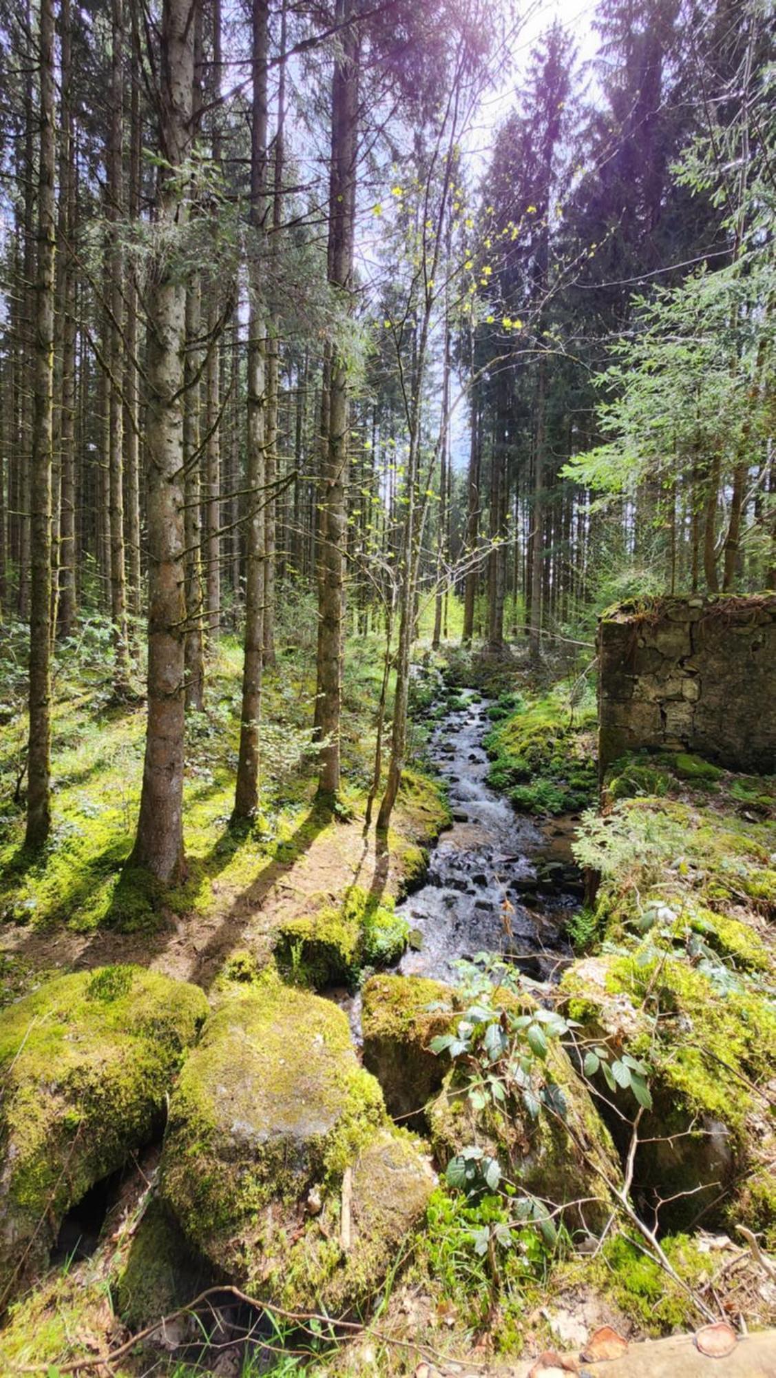 Gerardmer La De * Corcieux
